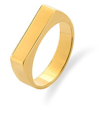 Troli Вневременное позолоченное кольцо VABQJR017G цена и информация | Кольцо | hansapost.ee