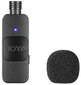 Boya BY-V20 цена и информация | Mikrofonid | hansapost.ee