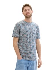 Мужская футболка Tom Tailor, разные цвета цена и информация | Мужские футболки | hansapost.ee