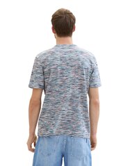 Мужская футболка Tom Tailor, разные цвета цена и информация | Мужские футболки | hansapost.ee