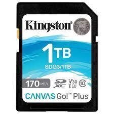 Kingston SDG3/1TB цена и информация | Карты памяти | hansapost.ee