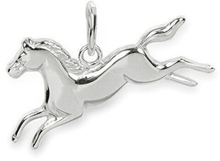 Brilio Silver Серебряный кулон в виде лошади 441001 00903 04 sBS0364 цена и информация | Украшение на шею | hansapost.ee