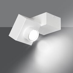 Emibig светильник Optix 1B цена и информация | Потолочные светильники | hansapost.ee