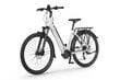 Elektrijalgratas Ecobike LX300 2024, 17", 11,6 AH 48V, valge цена и информация | Elektrijalgrattad | hansapost.ee