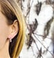 Beneto Ümmargused hõbedased kõrvarõngad AGUC2235 цена и информация | Kõrvarõngad | hansapost.ee