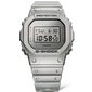 Käekell meestele Casio G-Shock DW-5600FF-8ER hind ja info | Käekellad meestele | hansapost.ee