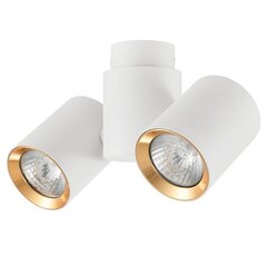 Light Prestige потолочный светильник Boston 2 White/Gold цена и информация | Потолочные светильники | hansapost.ee
