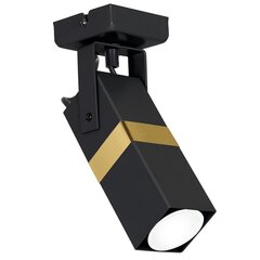 Milagro настенный светильник Vidar Black/Gold цена и информация | Потолочные светильники | hansapost.ee