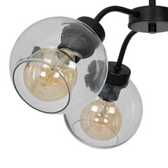 Laevalgusti Milagro Sofia Clear price and information | Ceiling lamps | hansapost.ee