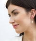 Beneto Ilusad hõbedased kõrvarõngad selgete tsirkoonidega AGUC2693-W hind ja info | Kõrvarõngad | hansapost.ee