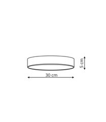 Light Prestige потолочный LED светильник Rapido S цена и информация | Потолочные светильники | hansapost.ee