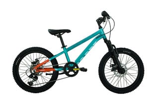 Детский велосипед Coppi Mtb 20", синий цвет цена и информация | Велосипеды | hansapost.ee