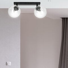 Emibig потолочный светильник Tofi 2 Black/Transparent цена и информация | Потолочные светильники | hansapost.ee