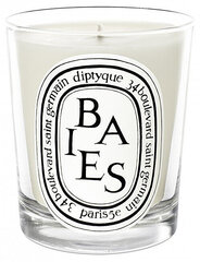 Diptyque lõhnaküünal Baies Candle, 190 g hind ja info | Küünlad, küünlajalad | hansapost.ee