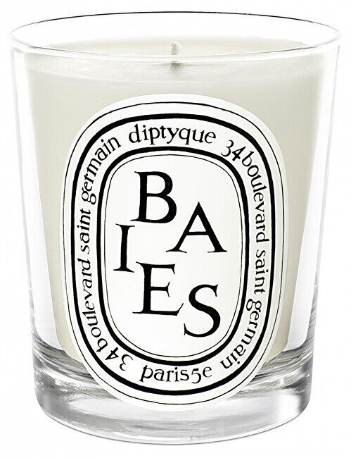 Diptyque lõhnaküünal Baies Candle, 190 g цена и информация | Küünlad, küünlajalad | hansapost.ee