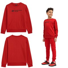 Детская футболка 4F, размер 134, красная цена и информация | 4F Одежда, обувь для детей и младенцев | hansapost.ee