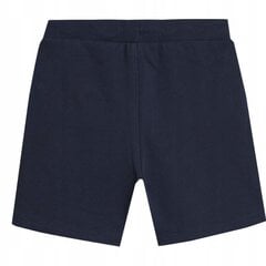 Lühikesed püksid poistele 4F, sinine hind ja info | Lühikesed püksid poistele | hansapost.ee