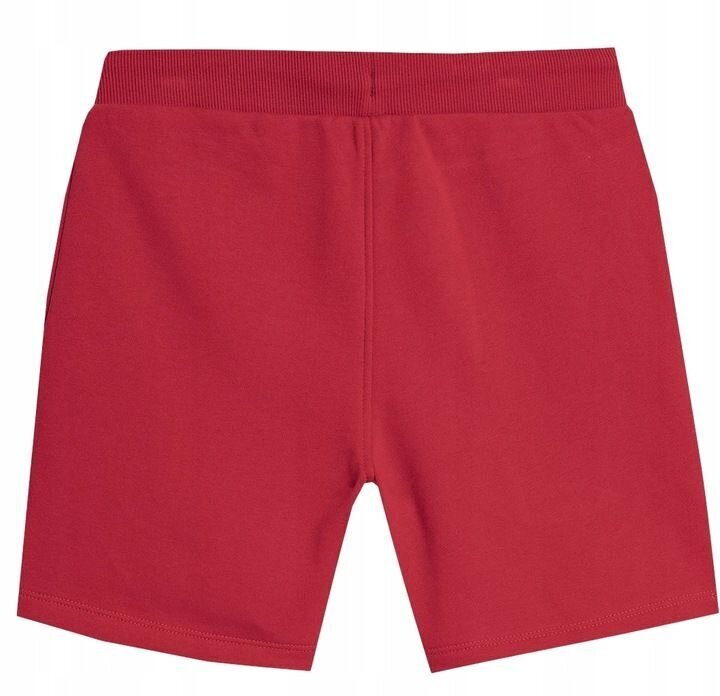 Lühikesed püksid poistele 4F, punane цена и информация | Lühikesed püksid poistele | hansapost.ee