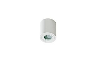 Azzardo потолочный светильник Brant White цена и информация | Потолочные светильники | hansapost.ee