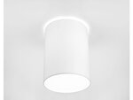 Nowodworski Luminaires and lamps online