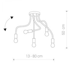 Nowodvorski Lighting laevalgusti Flex Black V 9766 цена и информация | Потолочные светильники | hansapost.ee