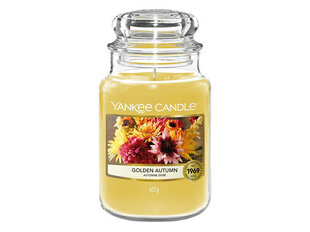 Yankee lõhnaküünal Golden Autumn, 623 g hind ja info | Küünlad, küünlajalad | hansapost.ee