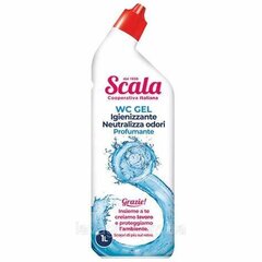 Tualettruumi puhastusvahend lõhnasid neutraliseeriv Scala, 1000ml hind ja info | Puhastusvahendid | hansapost.ee