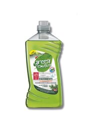 Green Emotion экологически чистое средство для мытья полов, 1000 мл цена и информация | Чистящие средства | hansapost.ee