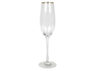 MPLCo šampanjaklaas, 25,5 cm hind ja info | Klaasid, kruusid ja kannud | hansapost.ee