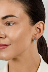 Kullatud kõrvarõngad tsirkooniumiga naistele Brilio Silver EA572Y sBS2495 hind ja info | Kõrvarõngad | hansapost.ee