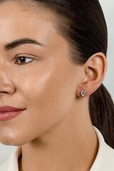 Hõbedased kõrvarõngad naistele Brilio Silver EA573Y sBS2499 hind ja info | Kõrvarõngad | hansapost.ee