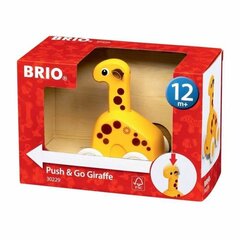 Interaktiivne mänguasi Brio Push & Go Giraffe hind ja info | Beebide mänguasjad | hansapost.ee