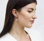 Hõbedased kõrvarõngad naistele Beneto AGUC2693-T tsirkooniumiga цена и информация | Kõrvarõngad | hansapost.ee