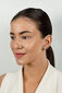 Hõbedased kõrvarõngad naistele Brilio Silver EA578W sBS2464 цена и информация | Kõrvarõngad | hansapost.ee