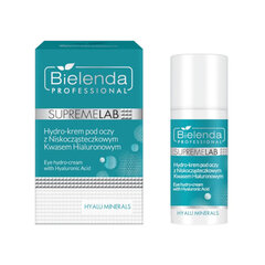 Silmakreem Bielenda Professional Supremelab Hyalu Minerals, 15 ml hind ja info | Silmakreemid ja seerumid | hansapost.ee