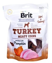 Brit Turkey Meaty Coins с индейкой, 200 г цена и информация | Сухой корм для собак | hansapost.ee
