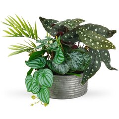 искусственное растение в горшке 28 см цена и информация | Детали интерьера | hansapost.ee