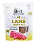 Brit Lamb Protein lambalihaga, 200 g цена и информация | Koerte kuivtoit ja krõbinad | hansapost.ee