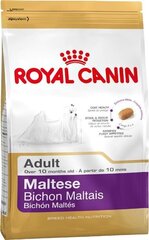 Royal Canin Maltese Adult для собак породы мальтийский бишон, 0,5 кг цена и информация | Сухой корм для собак | hansapost.ee