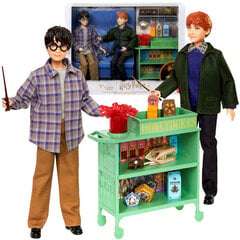 Mattel ZA5082 Harry Potteri ja Ron Sigatüüka nukukomplekt hind ja info | Harry Potter Lastekaubad ja beebikaubad | hansapost.ee