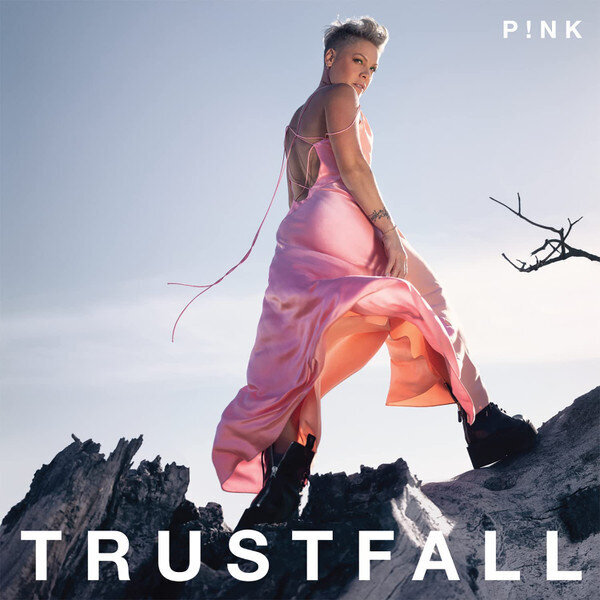 Vinüülplaat Pink Trustfall цена и информация | Vinüülplaadid, CD, DVD | hansapost.ee