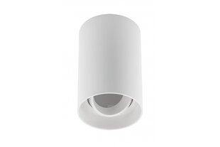 Корпус светильника потолочного Resto, GU10, Ø80x125 мм, IP20, белый цена и информация | Потолочные светильники | hansapost.ee