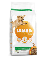 Iams for Vitality для взрослых собак крупных пород с ягненком, 3 кг цена и информация | Сухой корм для собак | hansapost.ee