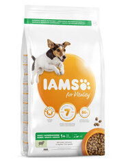 Iams For Vitality для взрослых собак мелких и средних пород с ягненком, 12 кг цена и информация | Сухой корм для собак | hansapost.ee
