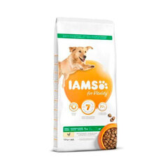 Iams ProActive Health для взрослых собак крупных пород с курицей, 3 кг цена и информация | Сухой корм для собак | hansapost.ee