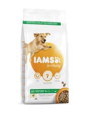 Iams ProActive Health для взрослых собак крупных пород с курицей, 3 кг цена и информация | Сухой корм для собак | hansapost.ee