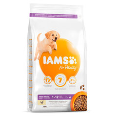 Iams ProActive Health для щенков крупных пород с курицей, 12 кг цена и информация | Сухой корм для собак | hansapost.ee