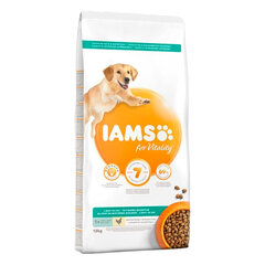 Iams ProActive Health для взрослых собак после стерилизации, склонных к ожирению, с курицей, 12 кг цена и информация | Сухой корм для собак | hansapost.ee