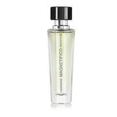 Parfüümvesi feromoonidega Magnetifico Pheromone Seduction EDP meestele, 30 ml hind ja info | Parfüümid meestele | hansapost.ee