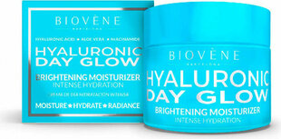Крем для лица Biovène Hyaluronic Day Glow, 50 мл цена и информация | Кремы для лица | hansapost.ee